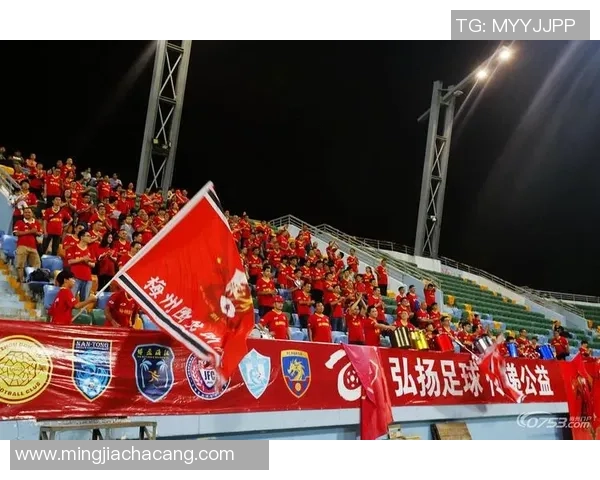 成都乒乓球队阵地战体系探讨与战术创新分析